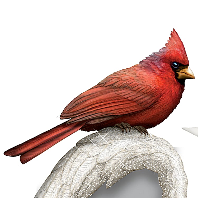 Witty Wings — CARING CARDINALS